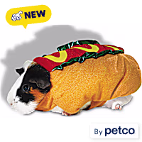 Petco Halloween Hot Dog Small Animal Costume