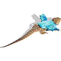 Petco Dragon Wings Bearded Dragon Pet Halloween Costume