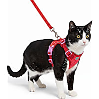 Petco Soft Cat Harness and Leash Set