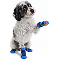 Petco Blue Plaid Dog Socks