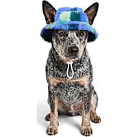 Petco Blue Plaid Pet Bucket Hat