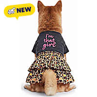 Petco I'm That Girl Pet Dress