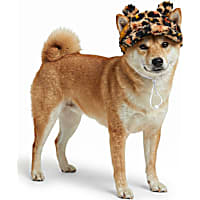 Petco Leopard Teddy Bear Ear Pet Hat