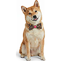 Petco Print Pet Bowtie Accessory