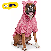 Petco Teddy Bear Ears Hooded Pet Sweater
