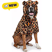 Petco Leopard Print Teddy Bear Hooded Pet Sweater