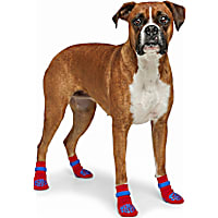 Petco Functional Gripping Dog Socks