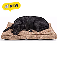 Petco Tufted Orthopedic Mat Dog Bed