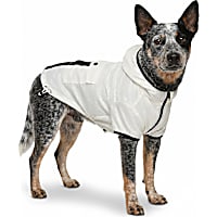 Petco Glow in the Dark Pet Jacket