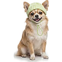 Petco Glow in the Dark Pet Beanie