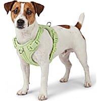 Petco Glow in the Dark Dog Harness