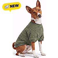 Petco Green Textured Pet Crewneck