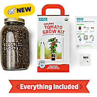 Back to the Roots Organic Cherry Tomato Windowsill Planter Grow Kit