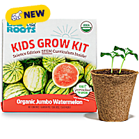 Back to the Roots Kids Grow Kit Organic Jumbo Watermelon