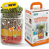 Back to the Roots Organic Terrarium Kids Grow Kit