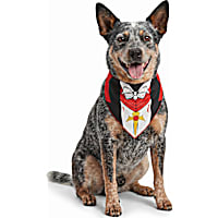 Petco Vampire Cloak Pet Bandana