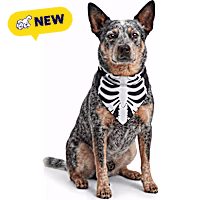 Petco Skeleton Pet Bandana