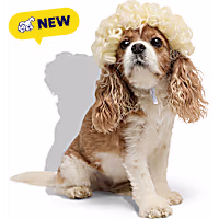Petco Blonde Curly Wig Pet Costume Headpiece