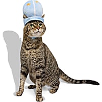 Petco Fishbowl Headpiece Cat Halloween Costume