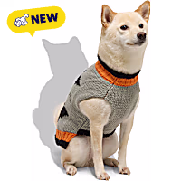 Petco Happy Halloween Witches Pet Sweater