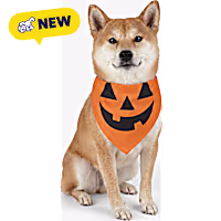 Petco Pumpkin Pet Halloween Bandana