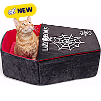 Petco Halloween Coffin Pet Bed