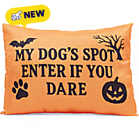 Petco Halloween Enter If You Dare Pet Pillow