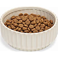 Petco Cream Ribbed Ceramic Dog Bowl