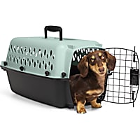 Petco Teal Pet Kennel