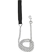 Petco Chain Dog Leash
