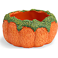 Petco Halloween Pumpkin Reptile Dish