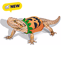 Petco Pumpkin Bearded Dragon Pet Halloween Costume