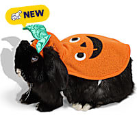 Petco Halloween Pumpkin Rabbit Costume