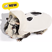 Petco Halloween Ghost Small Animal Costume