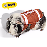 Petco Halloween Football Small Animal Costume