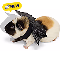 Petco Halloween Bat Wings Small Animal Costume