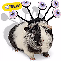 Petco Halloween Monster Small Animal Headpiece