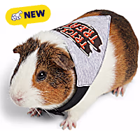 Petco Halloween Small Animal Bandana