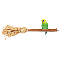 Petco Halloween Witch's Broom Bird Perch