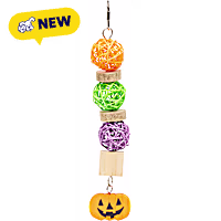 Petco Halloween Jack-o-Lantern Hanging Bird Toy