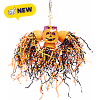 Petco Halloween Jack-o-Lantern Foraging Bird Toy