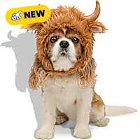 Petco Highland Cow Pet Costume Headpiece