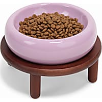 Petco Elevated Purple Ceramic Dog Bowl and Wooden Stand