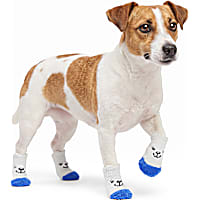 Petco White Bear Fuzzy Pet Socks