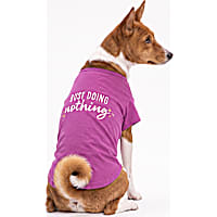 Petco Busy Doing Nothing Pet T-Shirt