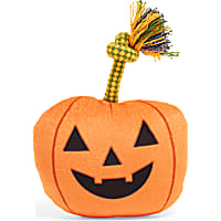 Petco Pumpkin Plush Dog Toy