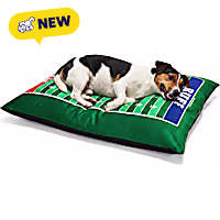 Petco Football Field Pillow Dog Bed