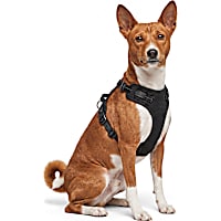 Petco Step-In Mesh Comfort Dog Harness