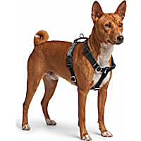 Petco Martingale Dog Harness