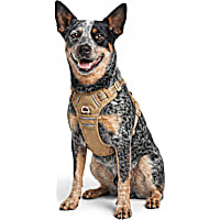 Petco Essential Dog Harness